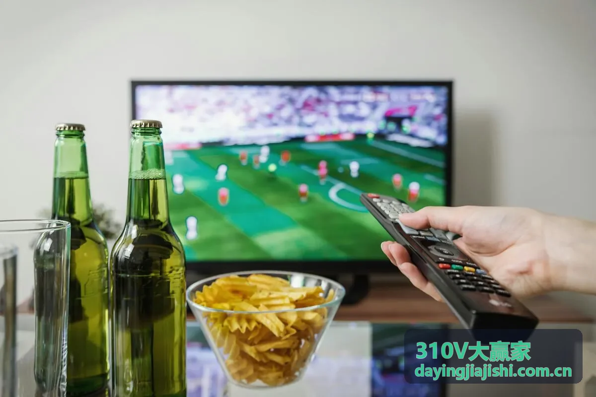 310V大赢家金融风控模型优化案例